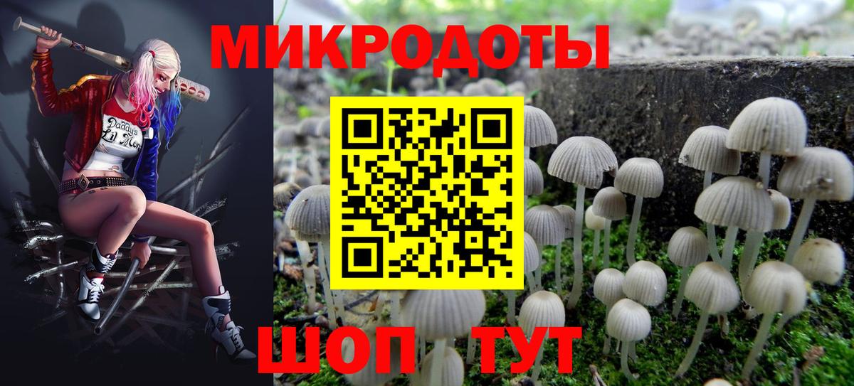 Псилоцибиновые грибы мицелий Коммунар