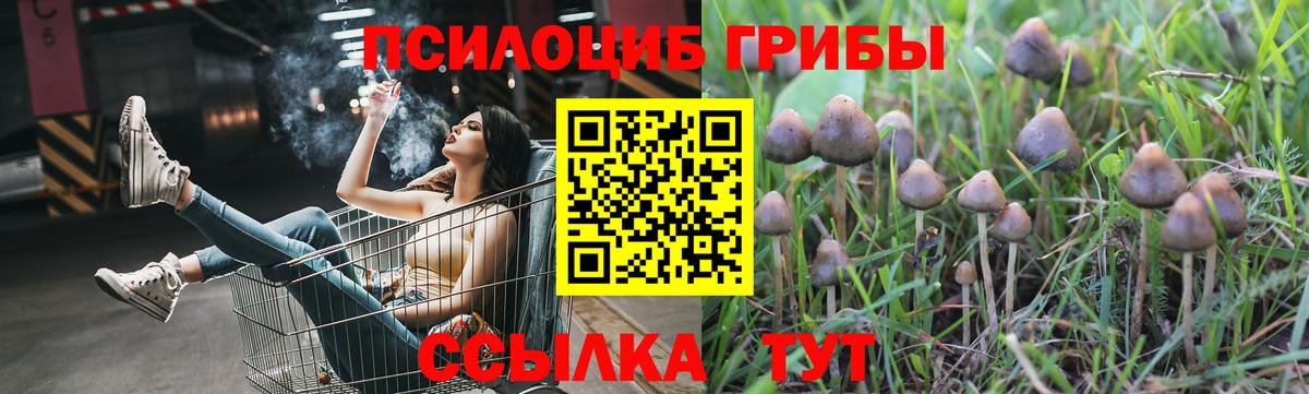 Коммунар  наркота  Вход с VPN  Галлюциногенные грибы MAGIC MUSHROOMS 